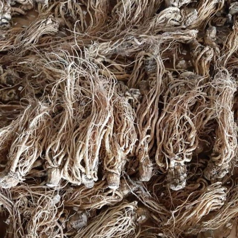 Sâm Đương Quy Khô 1kg