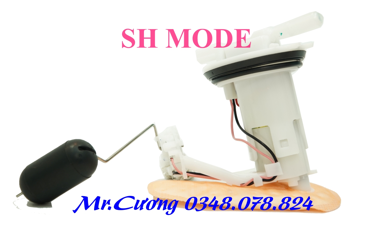 Sh Mode Car Fuel Pump Set