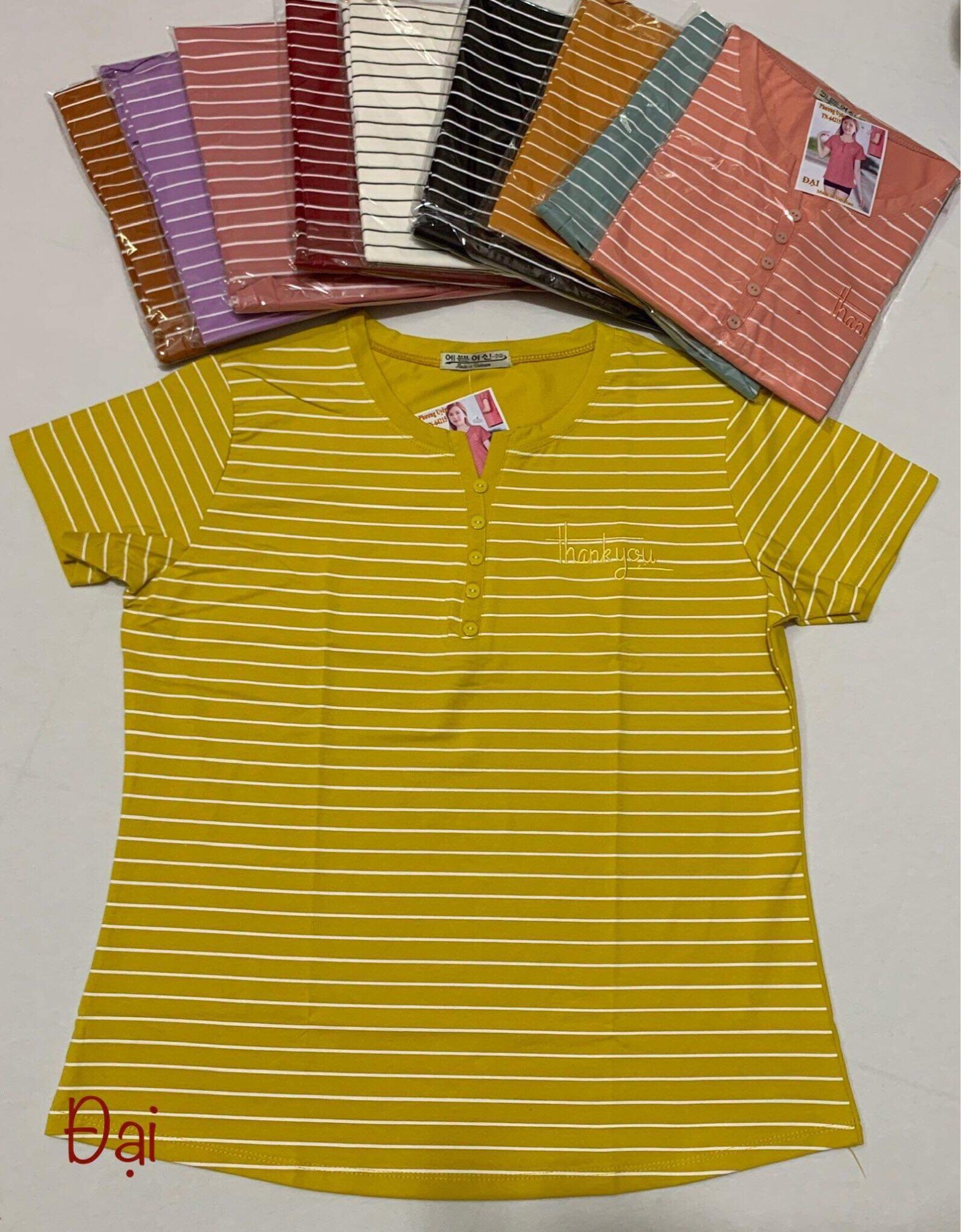 [HCM]Áo thun cotton Quảng Châu size 40-68kg (khách mua xem phần mô tả sản phẩm dùm shop nhé)