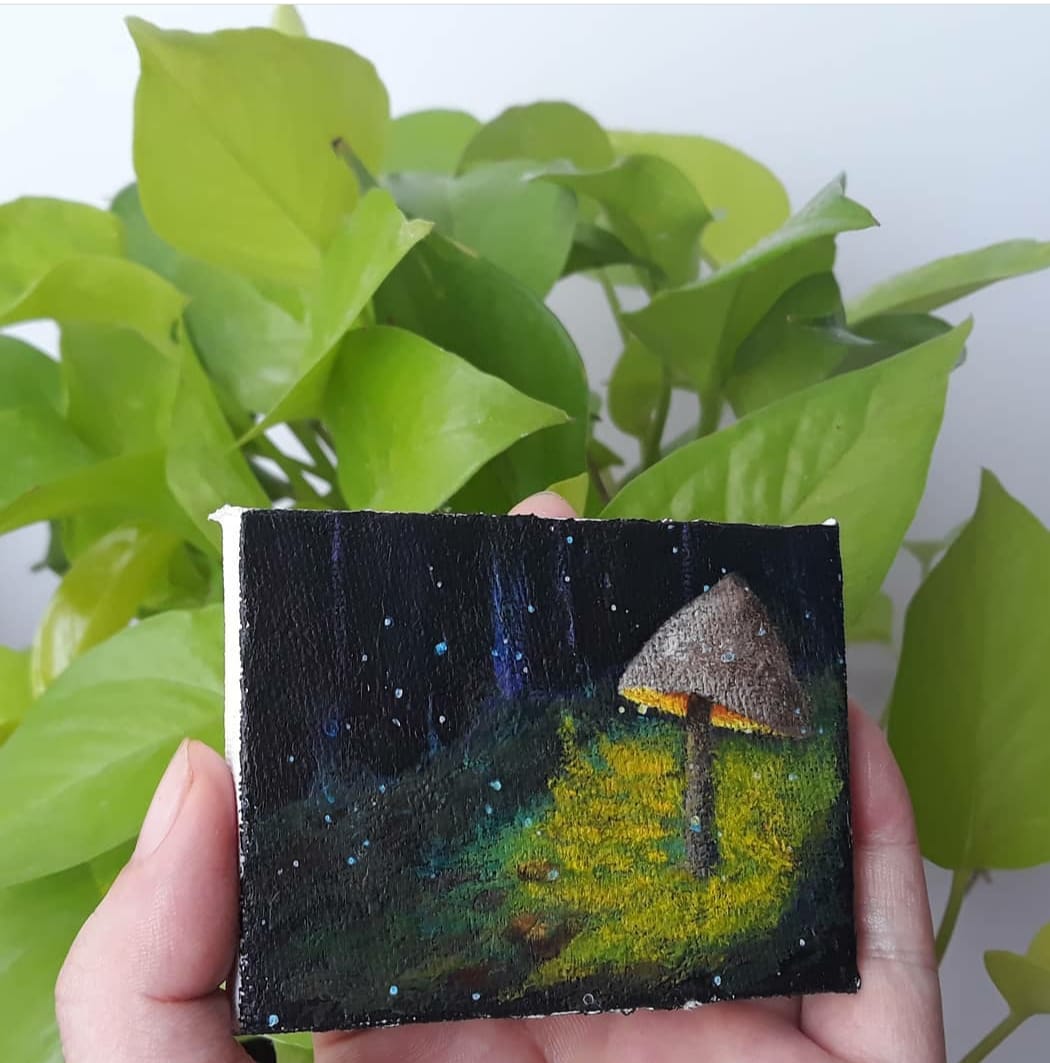 2 khung vải mini canvas, Mont marte
