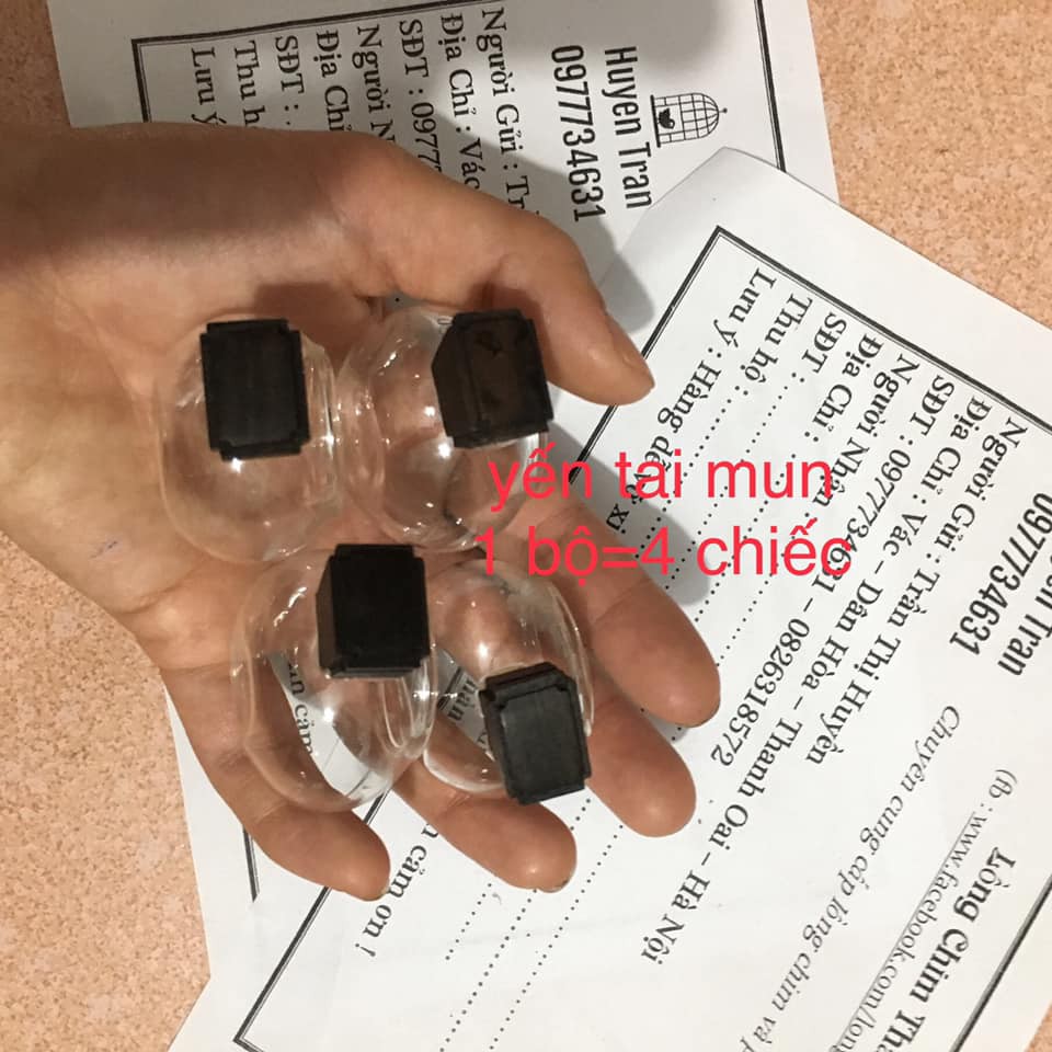 Cóng thủy tinh ăn uống chim yến , chòe đất loại 1 dày đủ bộ 4 chiếc kèm tai gỗ mun siêu bền đẹp Phụ kiện thú cưng Kabosa