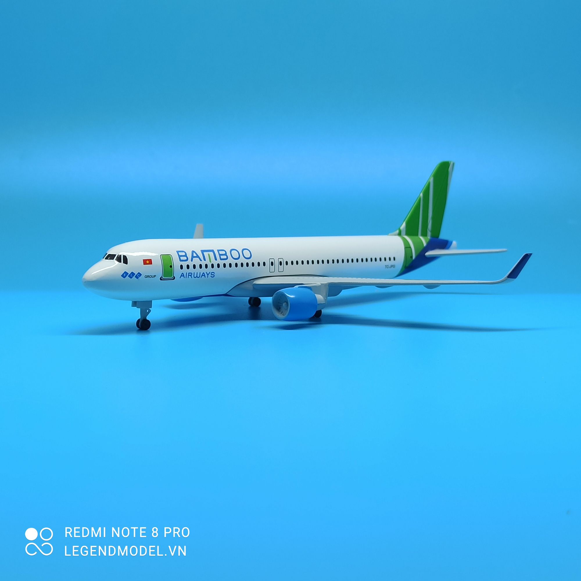 Bamboo Airways Aircraft Model