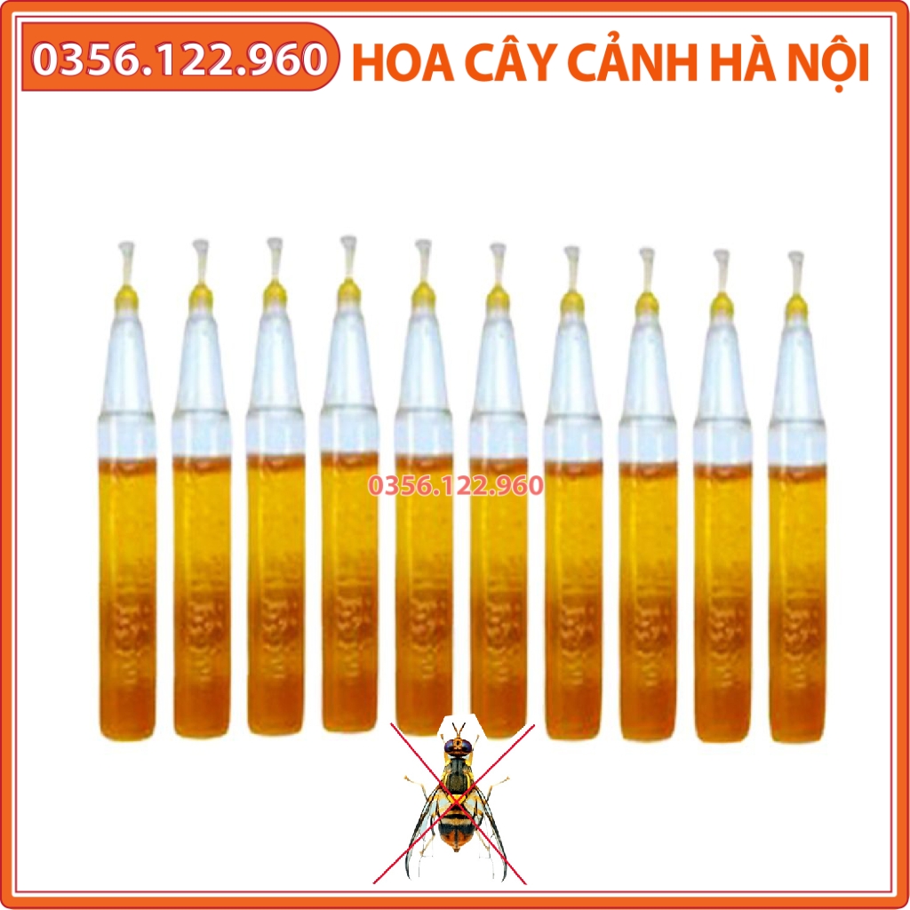 10 Ống chất dẫn dụ ruồi vàng đục trái 2ml