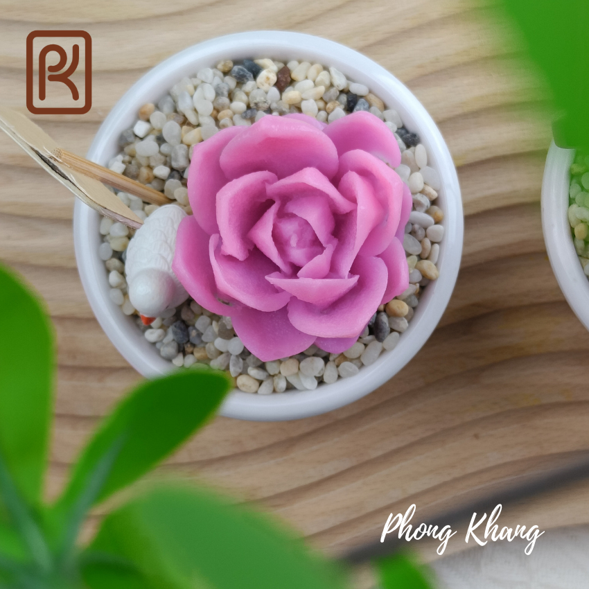 Khuôn silicon 4d Phong Khang làm rau câu sen đá