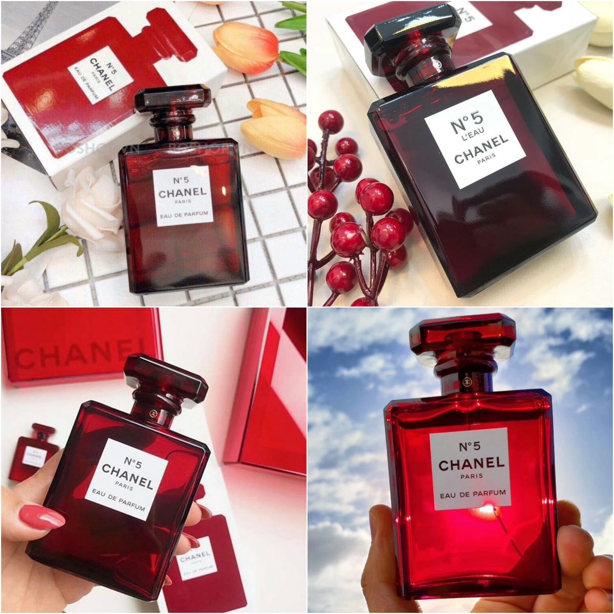 Nước hoa N5 đỏ quý phái