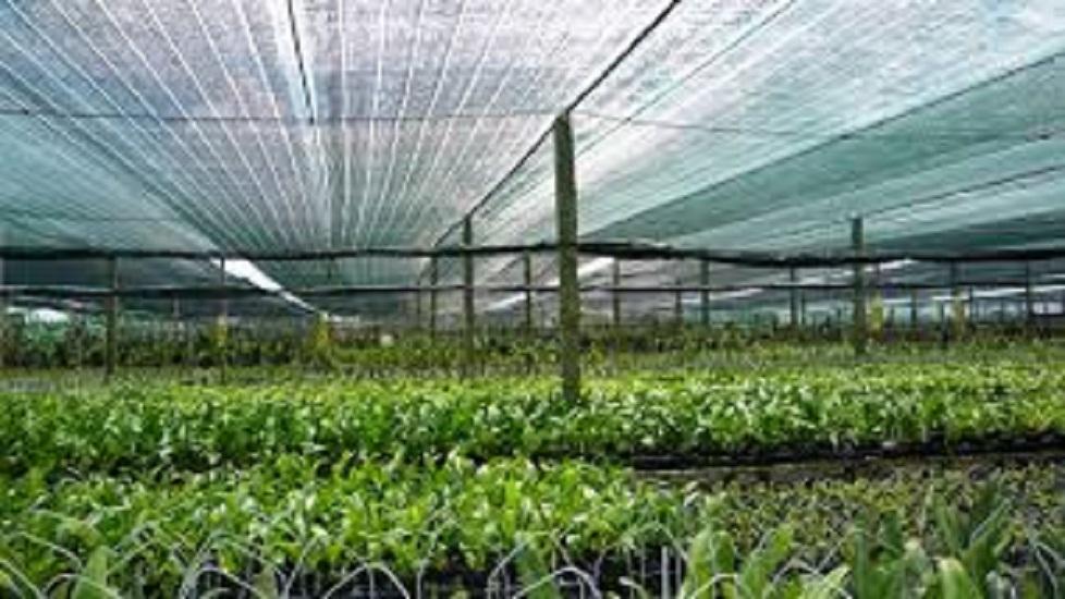 Combo of 5m of Thai Imported Sunshade Net, 60% Blue