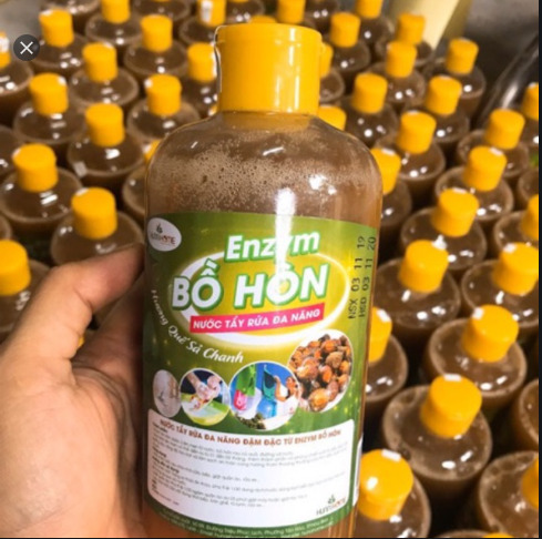 ENZYM BỒ HÒN 500ML