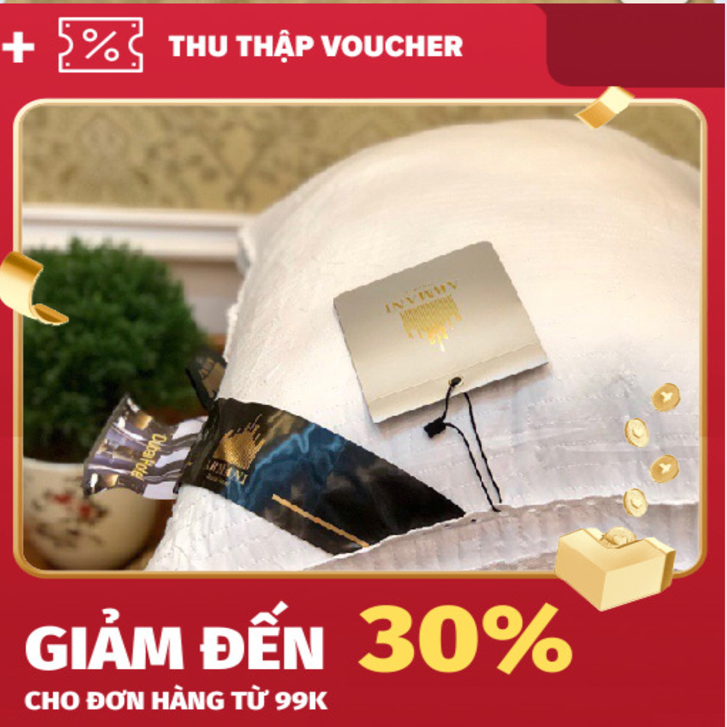 Siêu phẩm 2020 ruột gối lông vũ dubai kích thước 50x70cm siêu êm