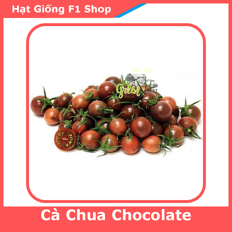 Hạt Giống Cà Chua Chocolate - 5H (128.F1)
