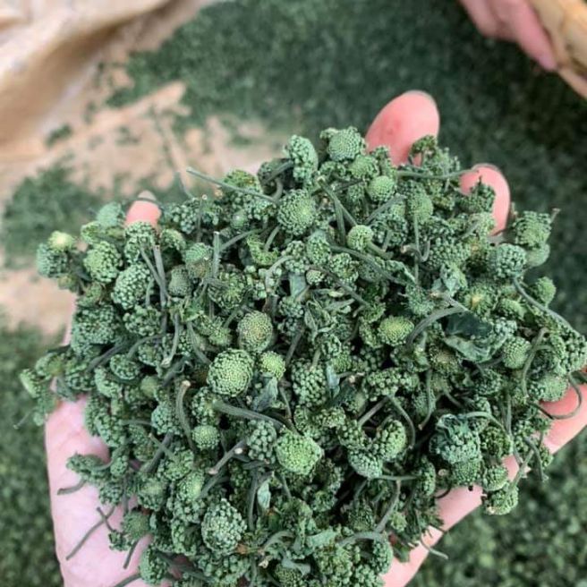 Sỉ toàn quốc 100g nụ tam thất bao tử