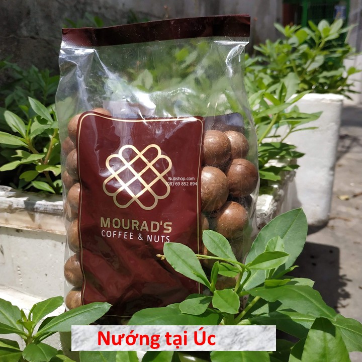 Fresh Tamarind Brand Australian Macadamia Nuts 500g