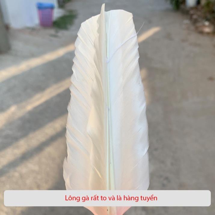 Compo 5 quả cầu đá thể thao Mèo Đen Số 4