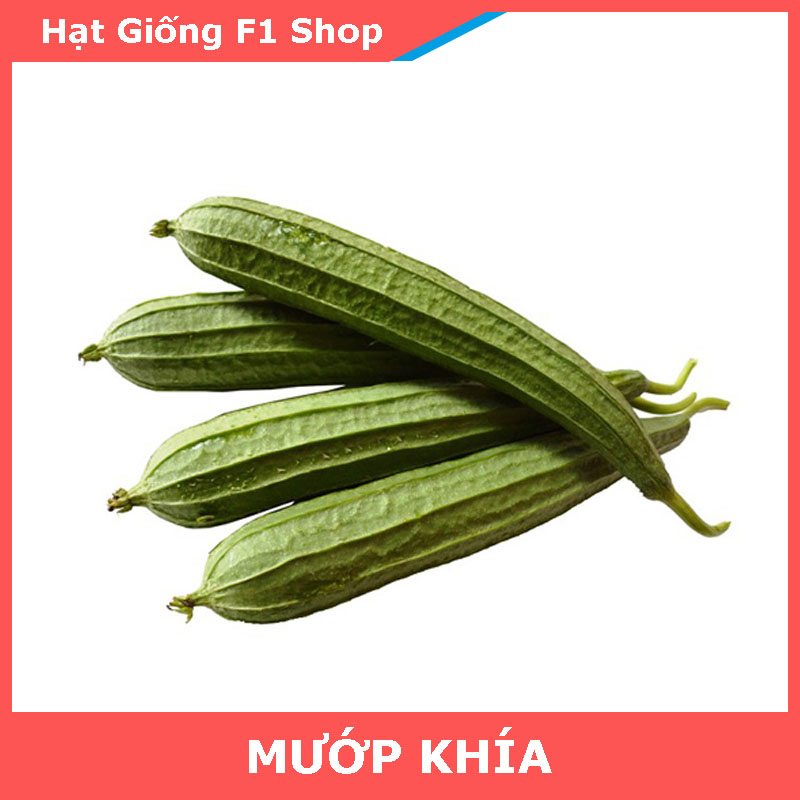 Hạt Giống Mướp Khía Ngon Ngọt