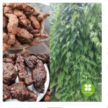 1 kg Hà thủ ô loại 1 - LV011