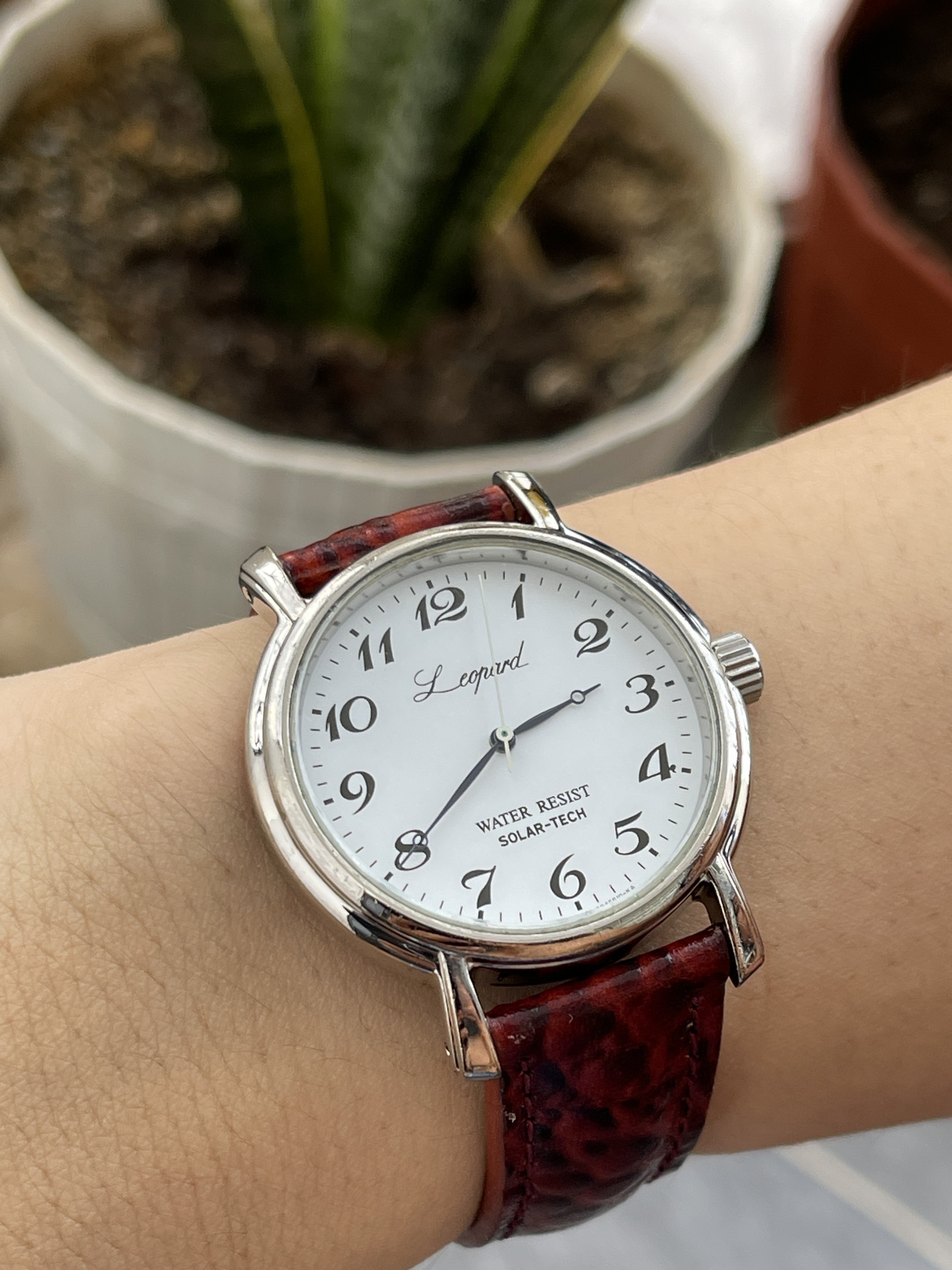 Đồng hồ nam Citizen Leopard chạy pin hàng Si