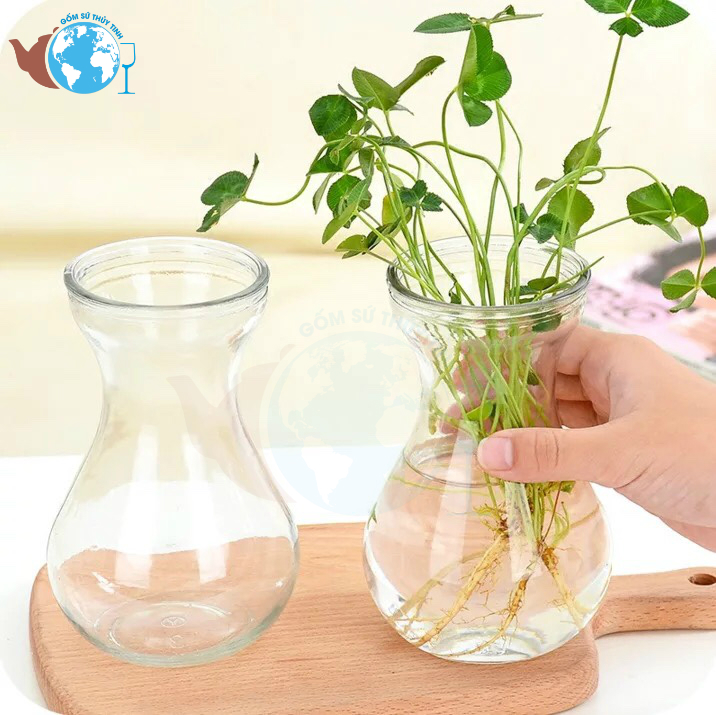 [HCM]COMBO 2 bình thủy tinh trồng cây thủy canh miệng loe - Bình Tiên Ông + Tặng kèm dây sơ dừa trang trí