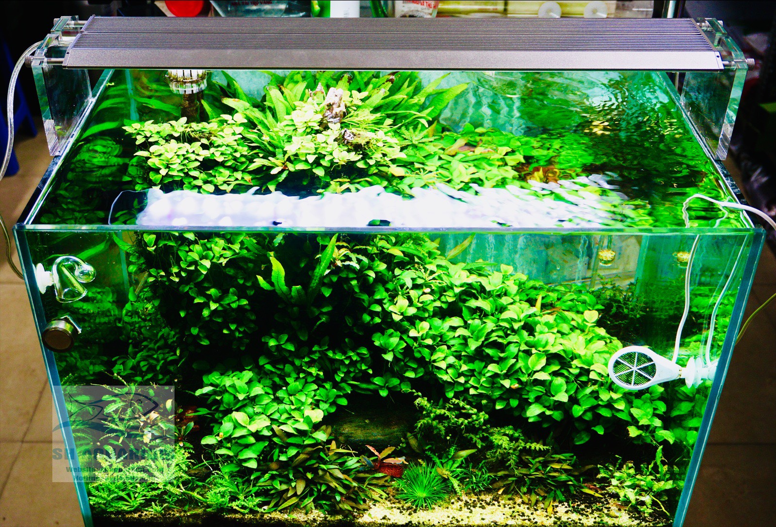 [HOÀN TIỀN 10%]Đèn WRGB Week Aqua Pro series M450