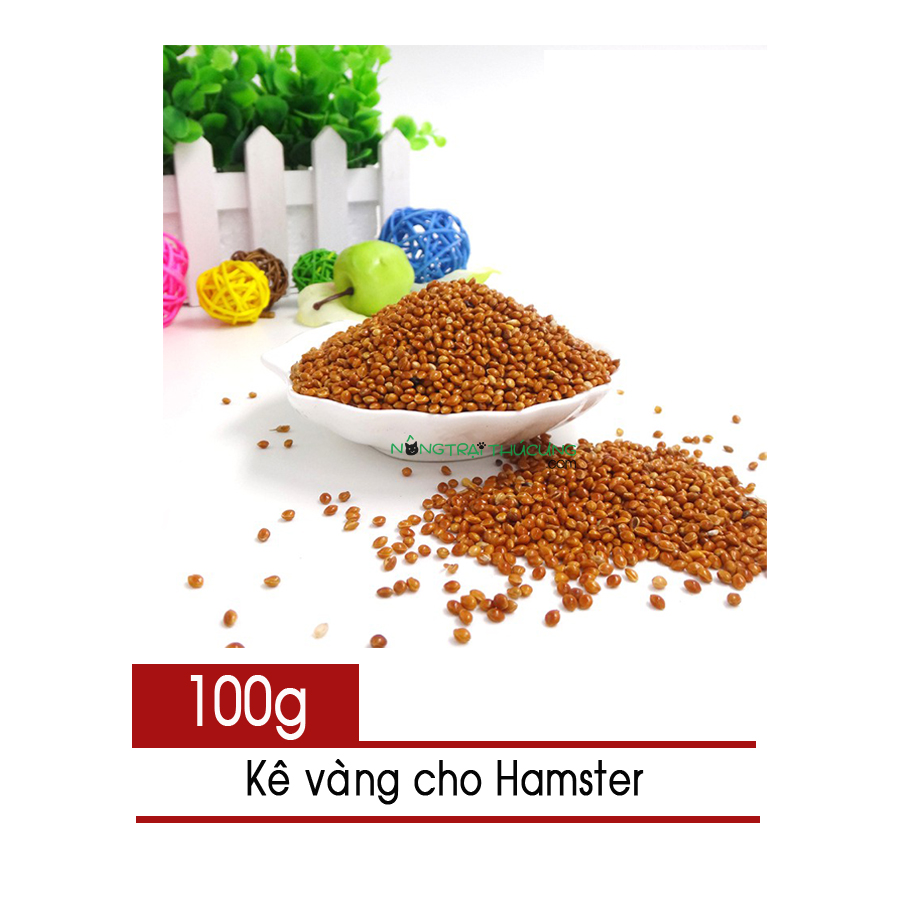 Hạt Kê vàng dành cho Hamster, Bọ, Hamster - [Nông Trại Thú Cưng]