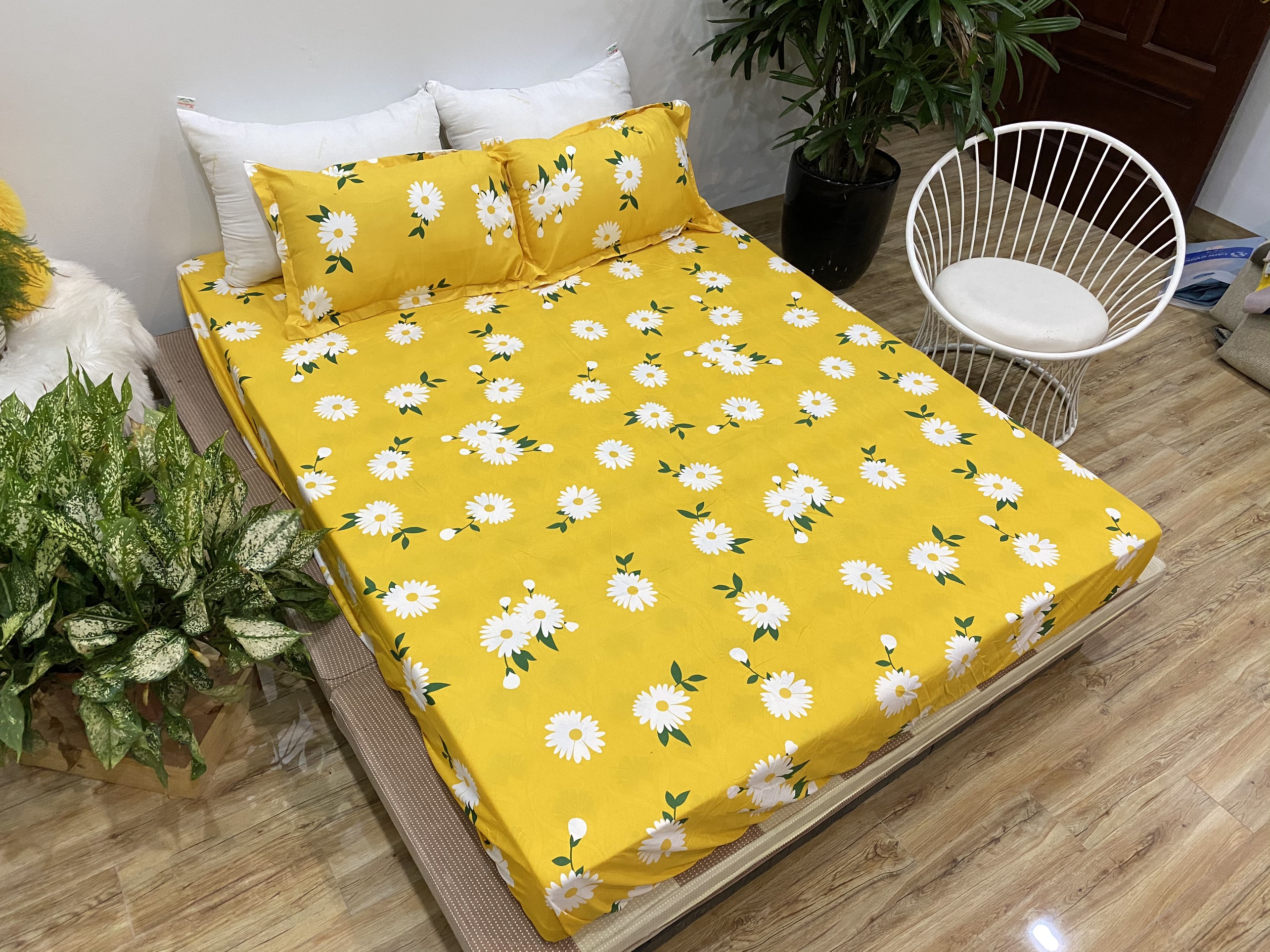 Bộ Ga Gối 3 Món ( Gồm 1 Ga Bo Chun + 2 Vỏ Gối) Mã CH213