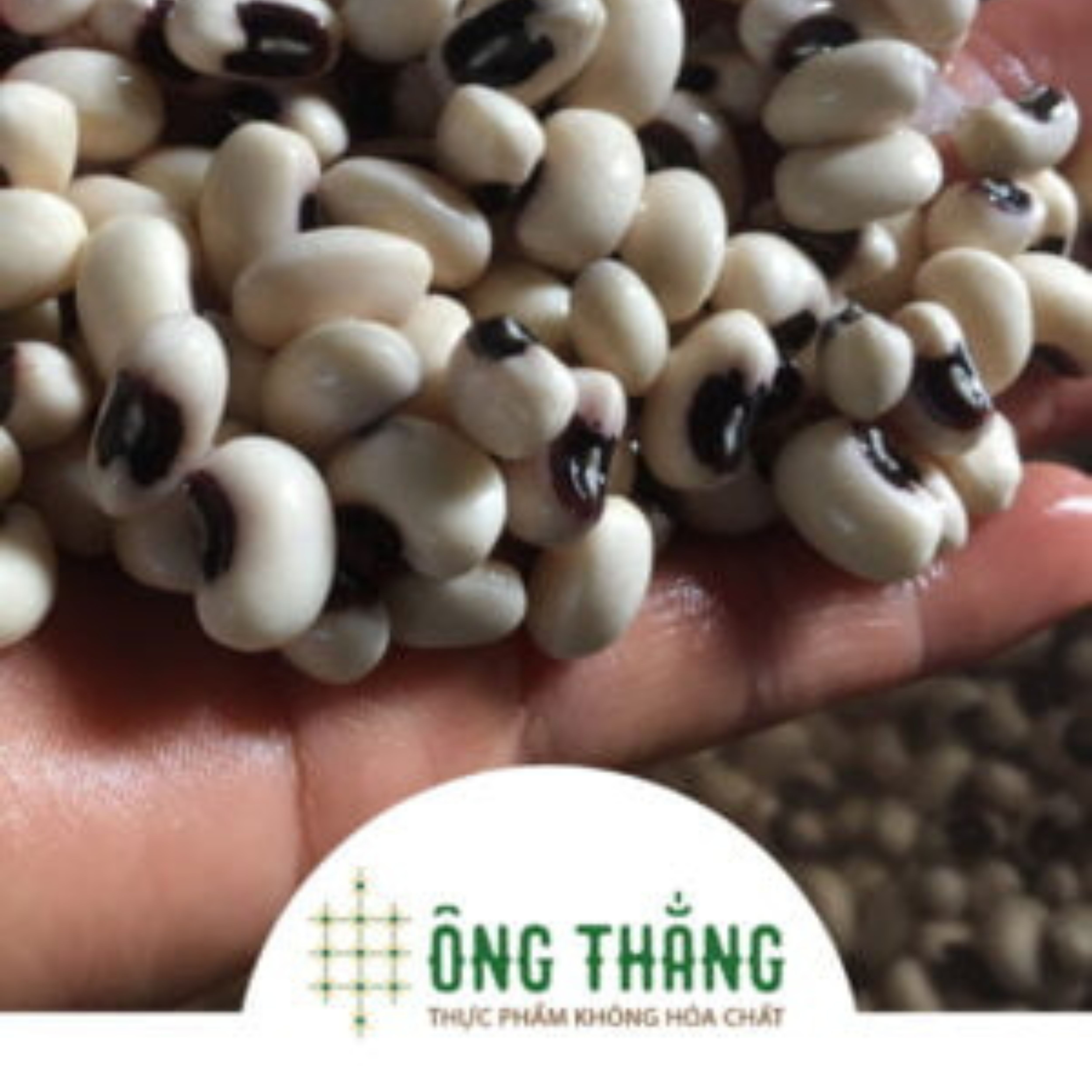 Bột đậu trắng mầm ÔNG THẮNG 350g (GÓI)