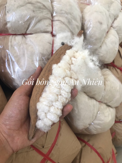 Ruột gối bông gòn tự nhiên PIL4565