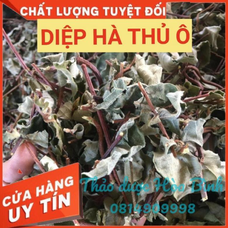Lá cây hà thủ ô đỏ khô sạch