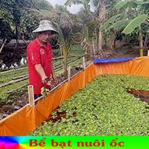 Bể nuôi ốc, nuôi ếch, cá nhỏ, ươm ốc, ếch, lươn, trạch