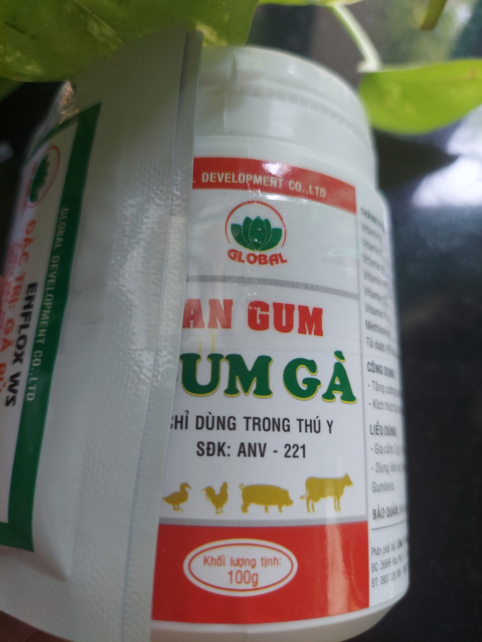 AN GUM (HỦ 100G)
