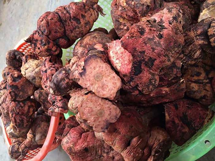 Hà Thủ Ô Đỏ Khô  1Kg