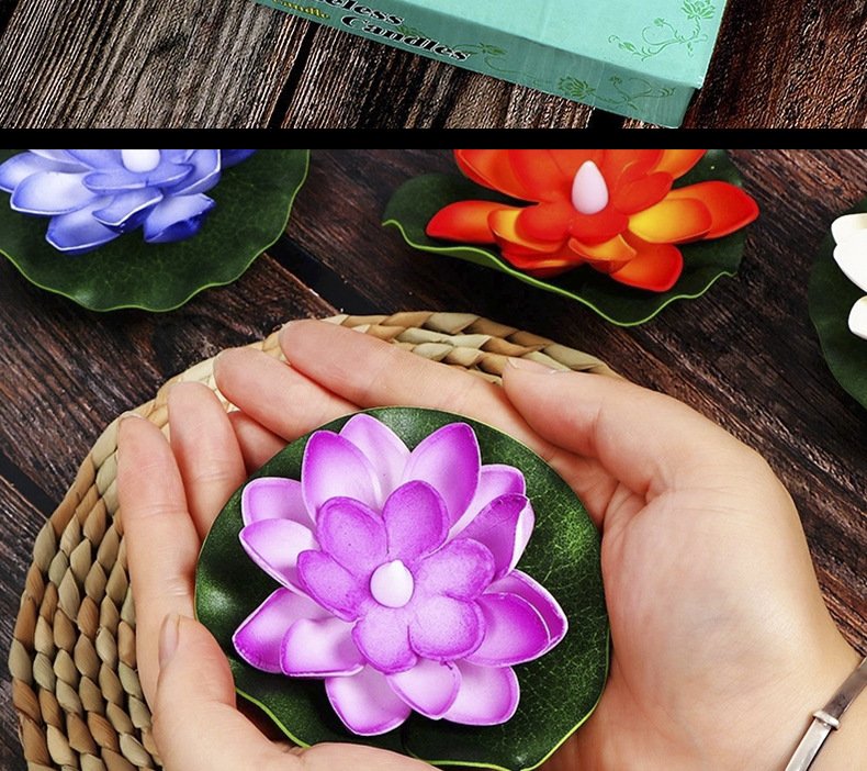 Hoa sen thả hoa đăng