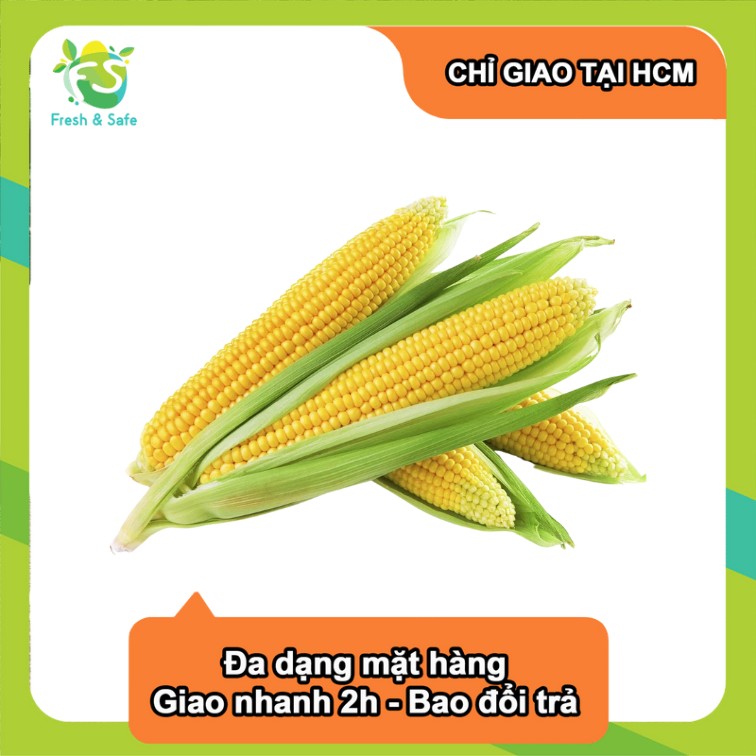 [Chỉ Giao HCM] Bắp Mỹ - 1 trái