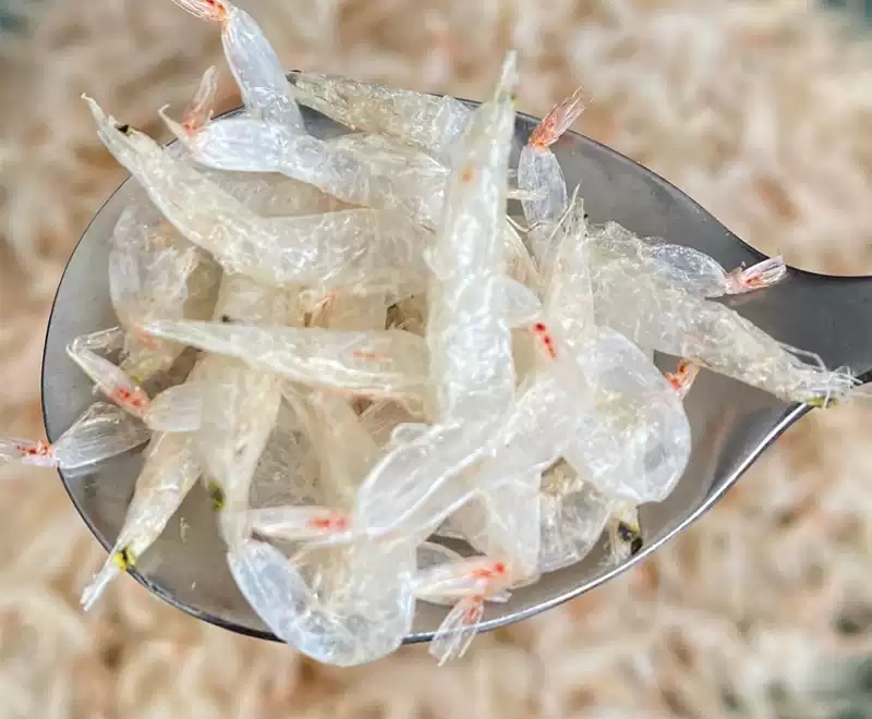 Ruốc Sạch Ngon Cà Mau- LÀNG CÁ NAM BỘ