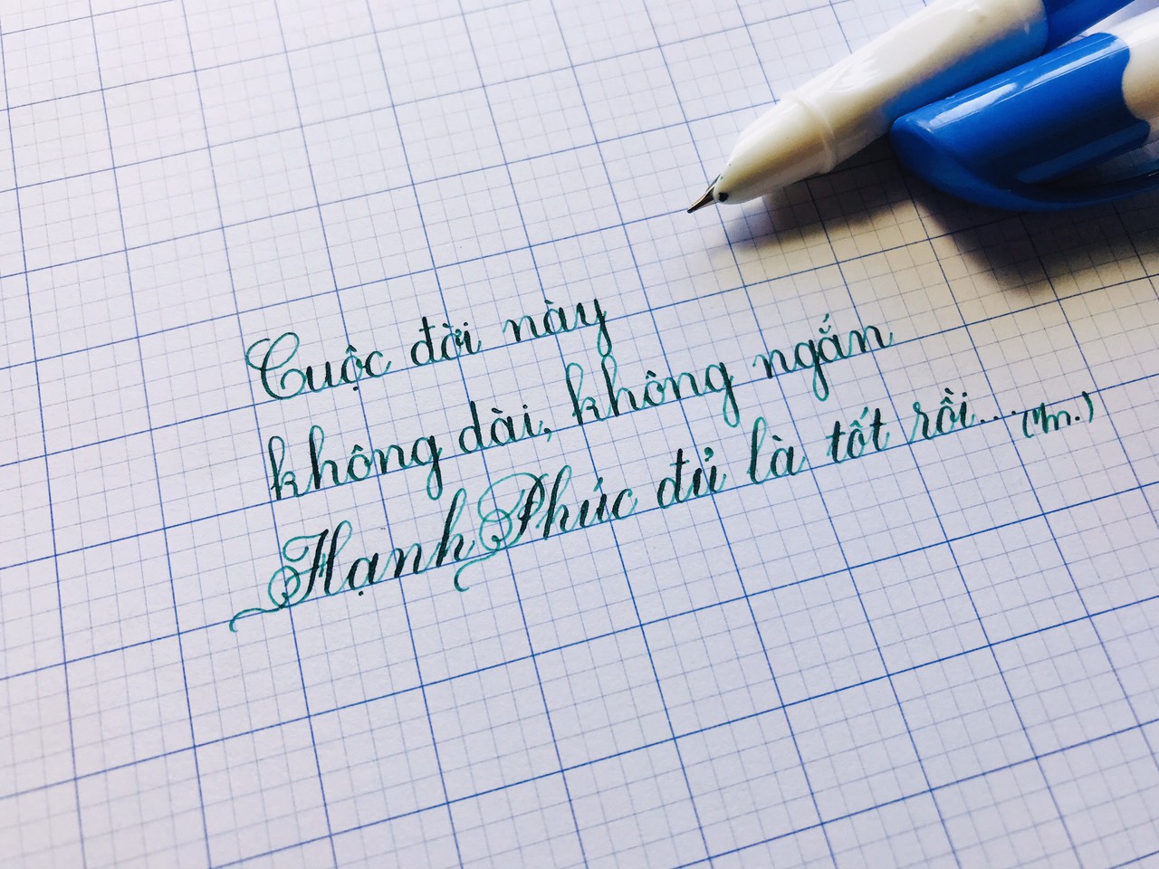 Bút máy LeTa 02 ngòi kim tinh thanh đậm