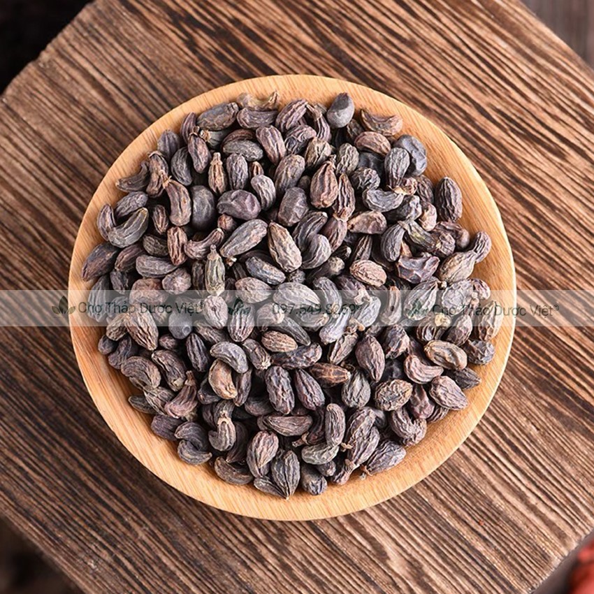 Ngưu bàng tử khô 100g, hạt ngưu bàng, sạch, đẹp, không lẫn tạp chất - Chợ Thảo Dược Việt
