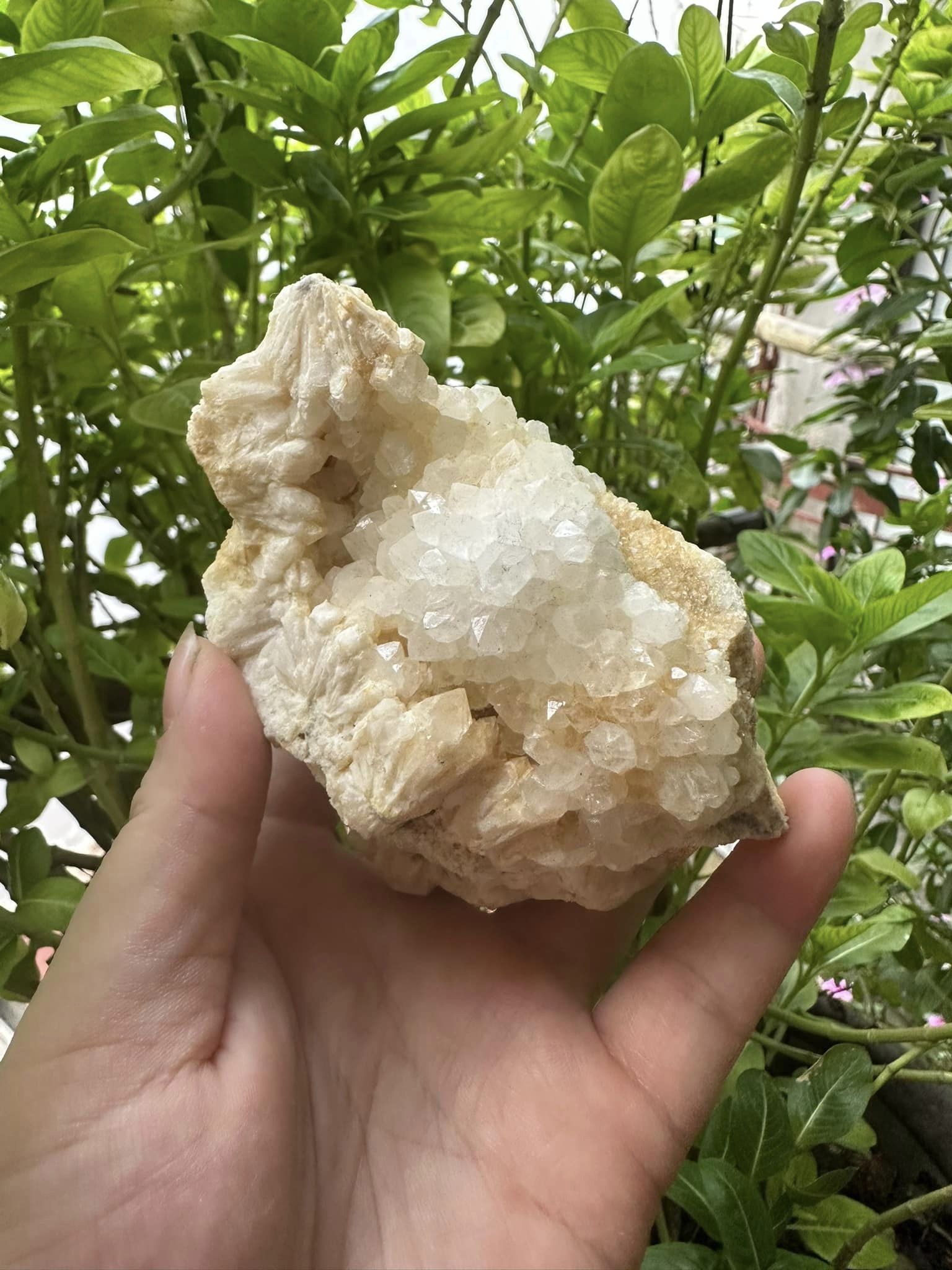 Cụm tinh thể thạch anh 100k trắng tinh