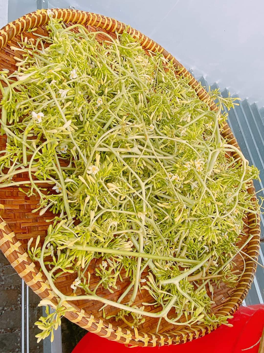 Mật Ong Rừng Ngâm Hoa Đu Đủ Đực