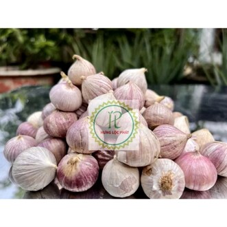 Tỏi cô đơn