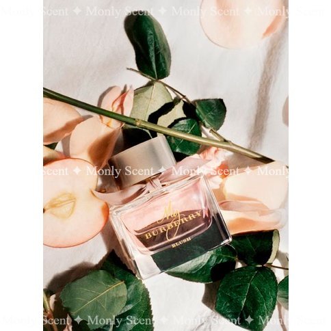 Nước Hoa Nữ dùng thử My Burberry Blush - _™