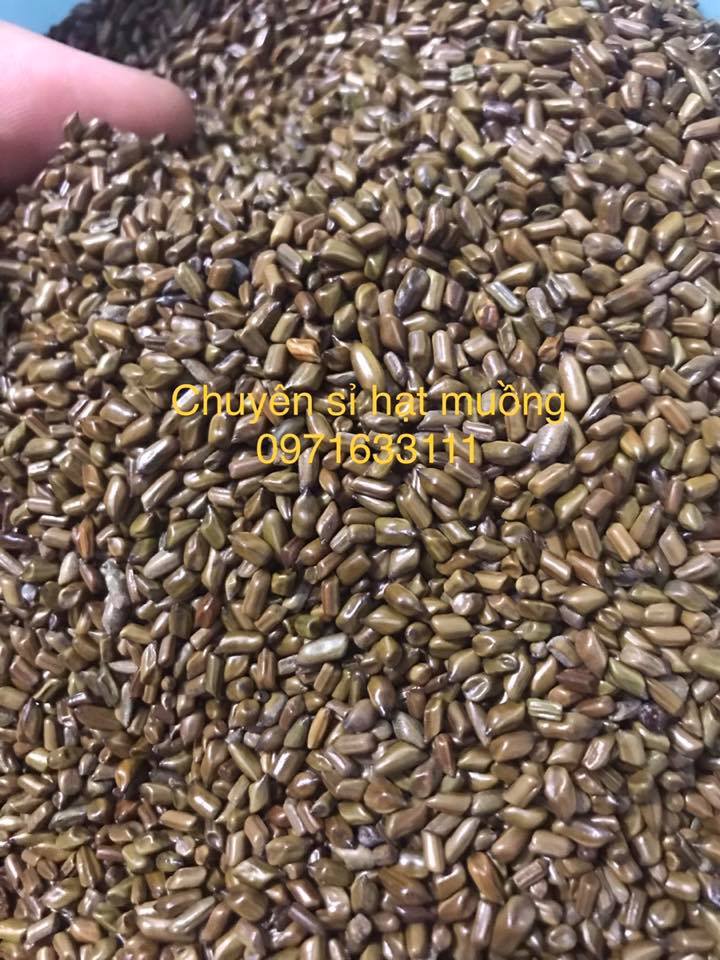 Combo 3kg hạt muồng xuất khẩu loại 1