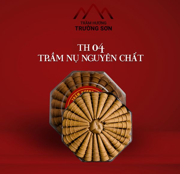 Nụ trầm hương Trường Sơn
