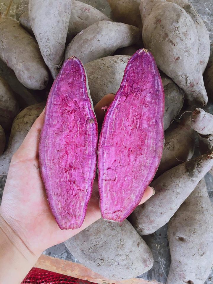 Bột Khoai Lang Tím Gói 50g