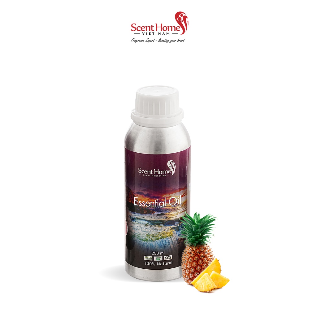Tinh dầu Scent Homes - mùi hương (Pineapple)