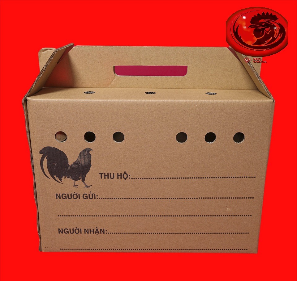 COMBO 5 THÙNG GIẤY ĐỰNG GÀ LÔNG