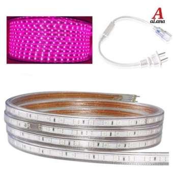 [HCM]Bộ 30m dây đèn LED trang trí trần