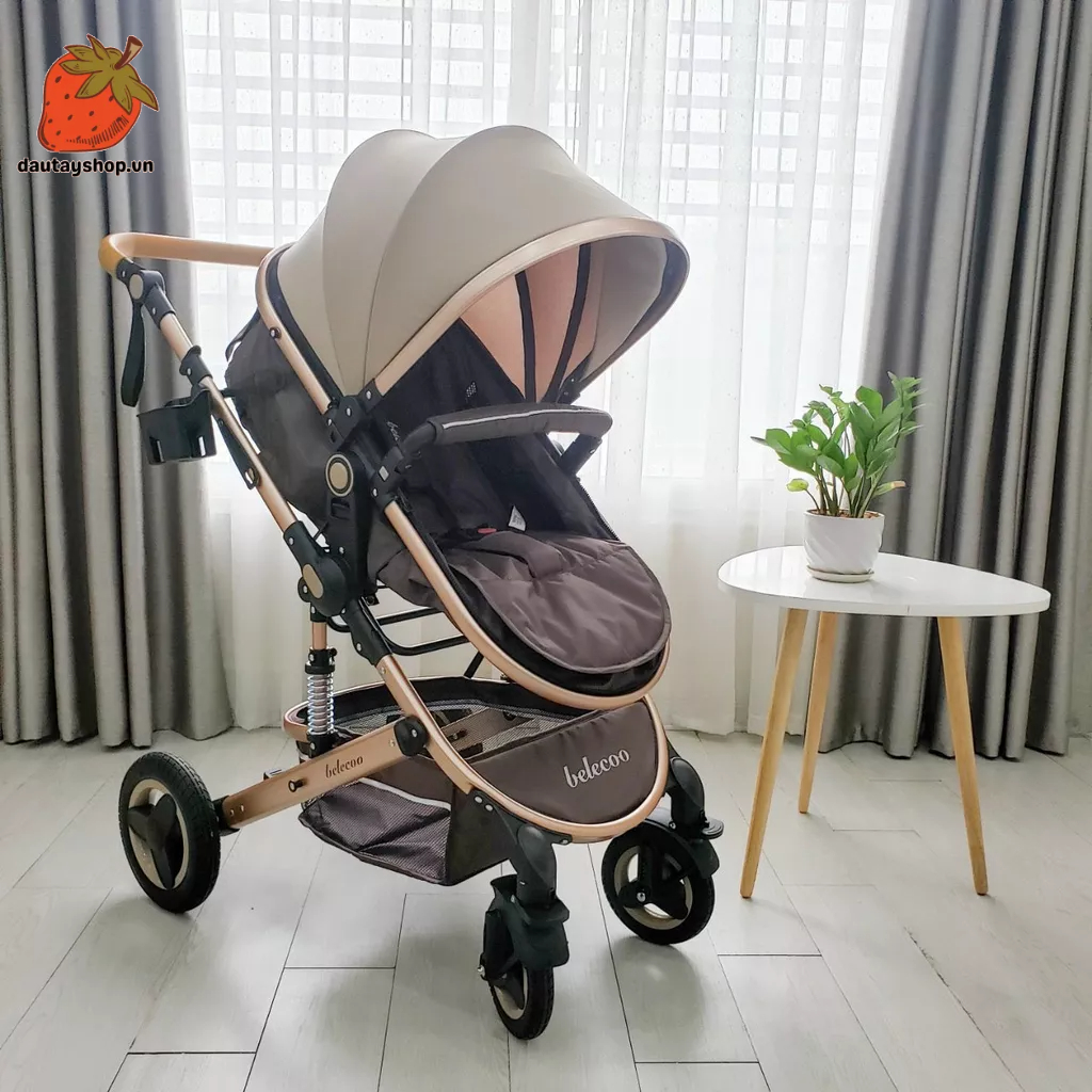 Xe nôi 2 chiều Belecoo PM - 0292