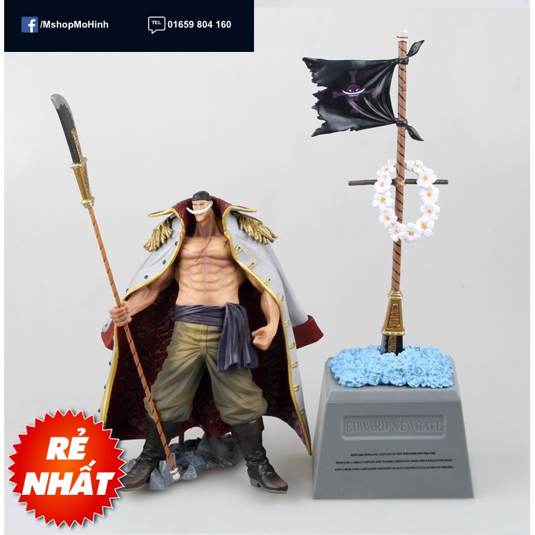 Mô hình giấy Chibi Râu Trắng Edward Newgate  One Piece  Kit168 Shop mô  hình giấy