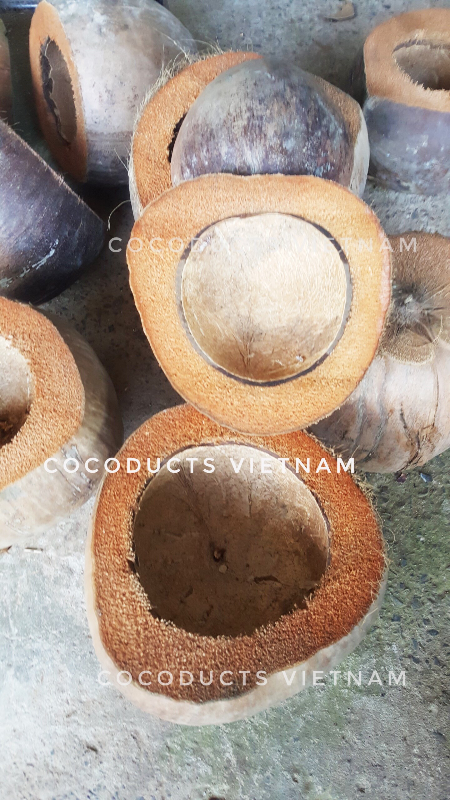 [HCM]Vỏ bình trà gáo dừa truyền thống
