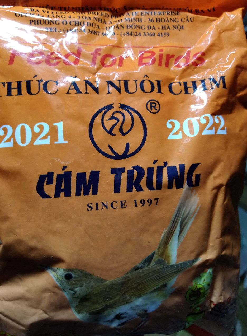 CÁM TRỨNG BA VÌ MÀU CAM.(bich 500g) dung lam thức ăn cho chim,vẹt