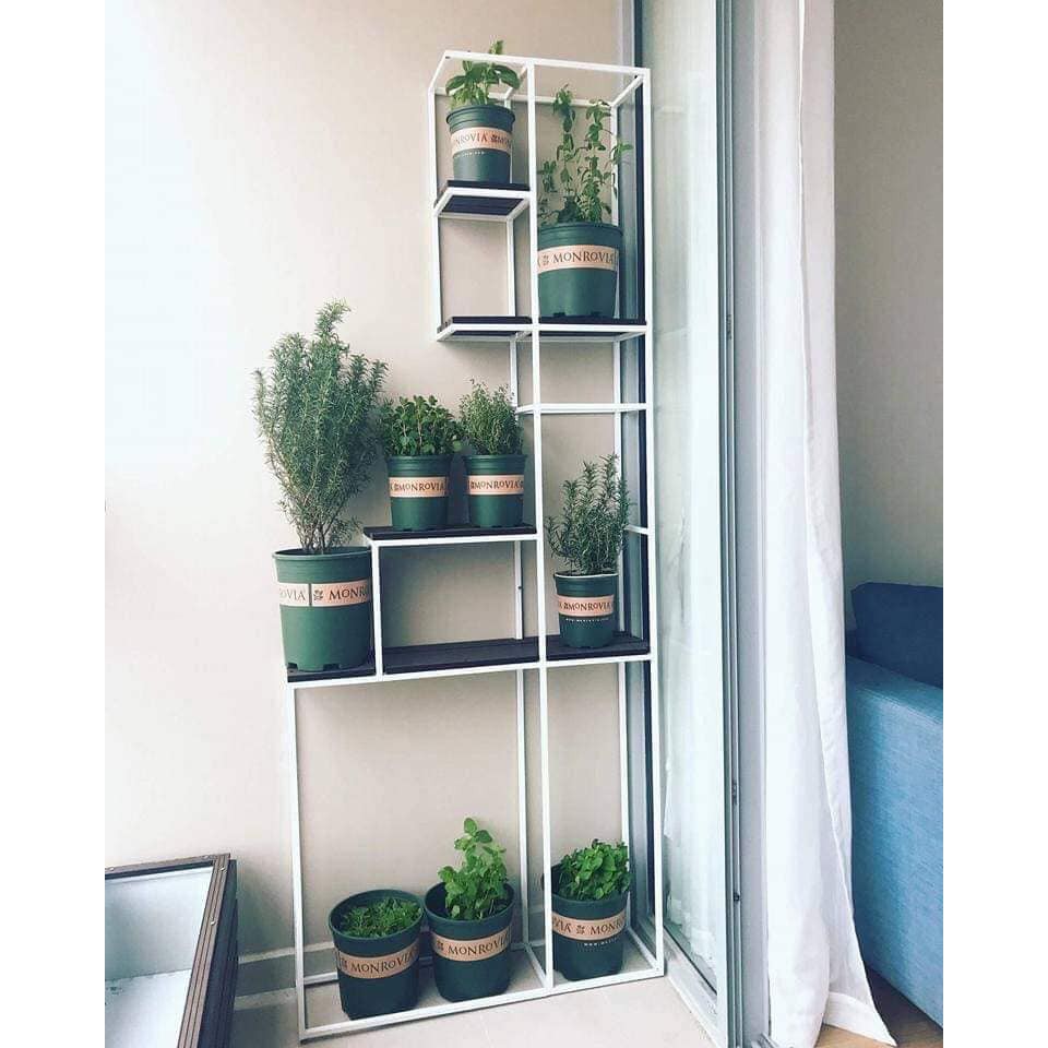 CHẬU NHỰA TRỒNG CÂY MONROVIA ĐỦ SIZE