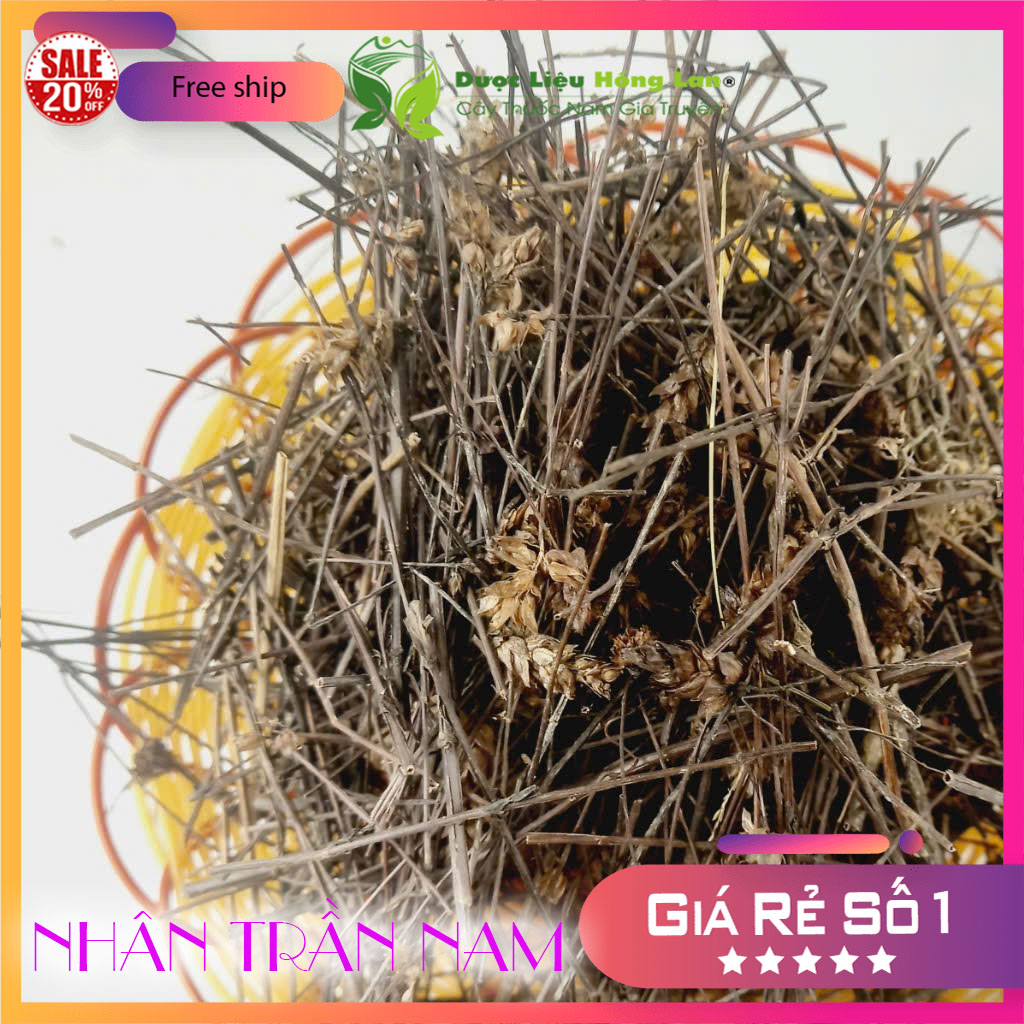 ✅ 1kg Cây Nhân Trần Nam khô sạch